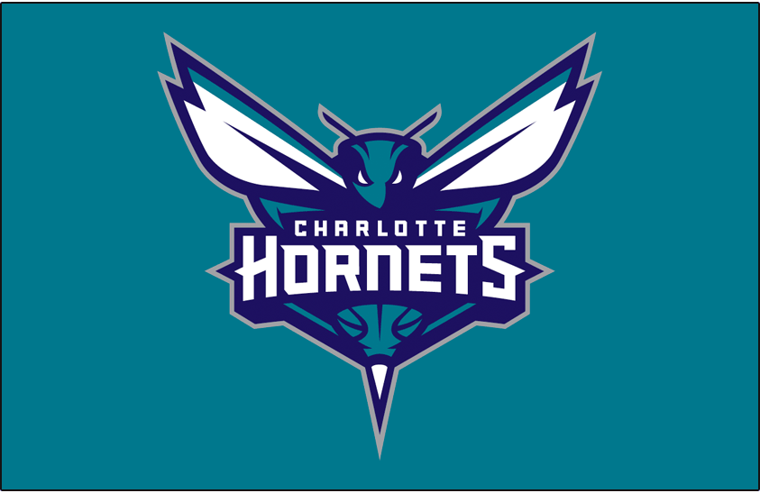 Charlotte Hornets 2014-Pres Primary Dark Logo iron on heat transfer